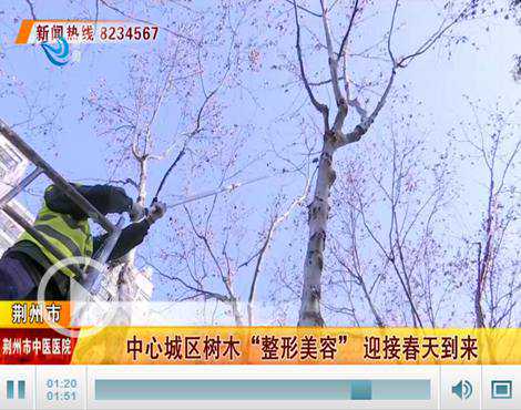 只为更美！春天来了 荆州绿化工人为树木“整形美容”