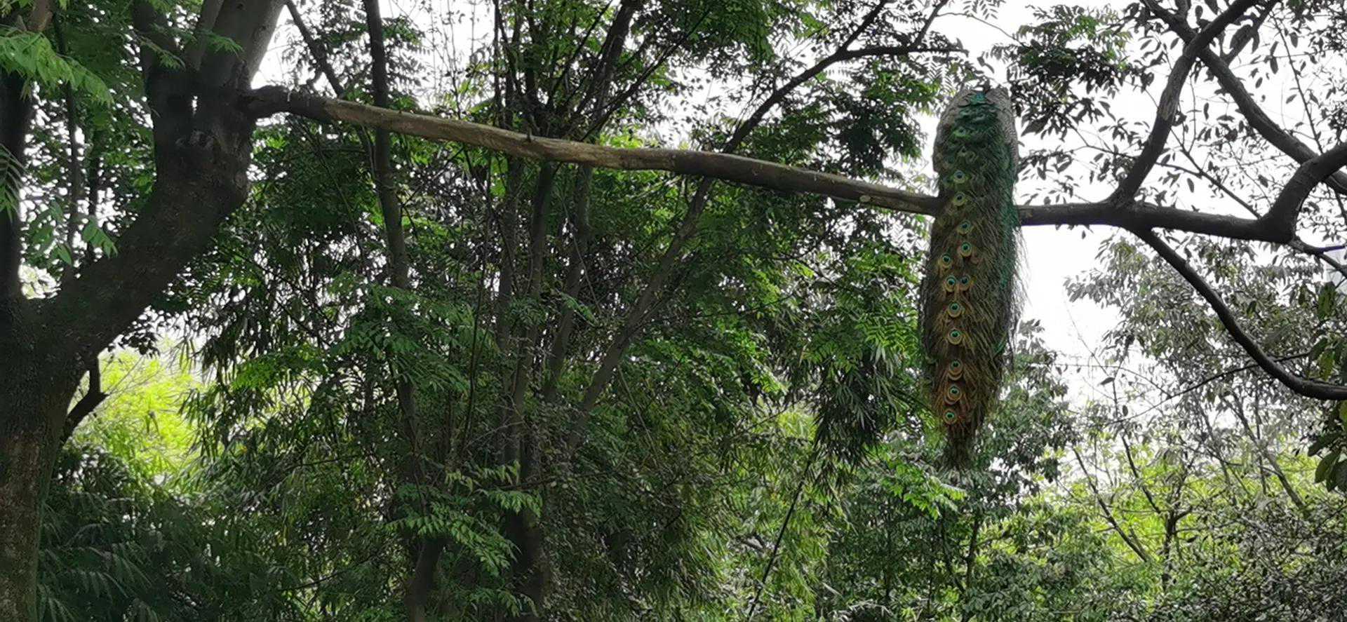 私立整形美容医院好？还是公立整形美容外科好