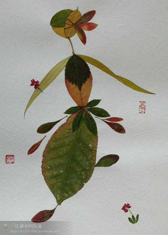 国家健康美容网上线，推动健康美容行业良性发展