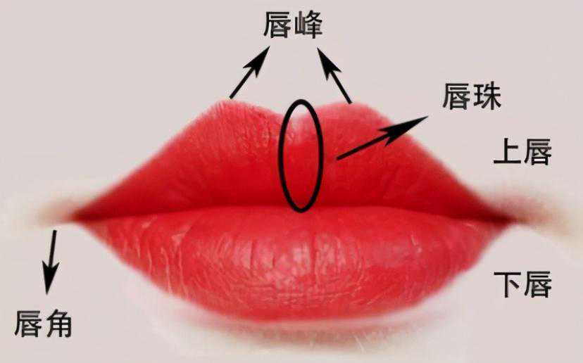 唇部美的标准以及唇部整形的方法