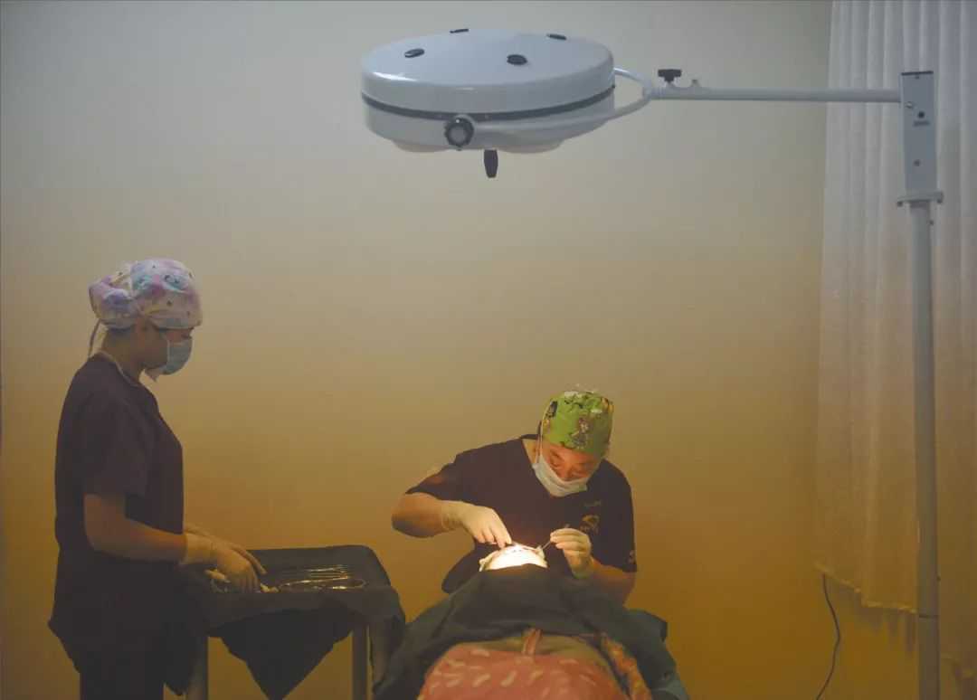 暑假整形高峰丨“照着网红整”，女大学生借9家平台“以贷养贷”