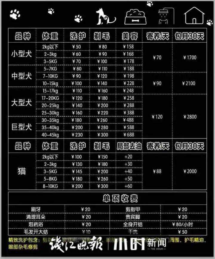 给猫狗办美容卡，花6000元做“双眼皮手术”？杭州宠物医生说出真相
