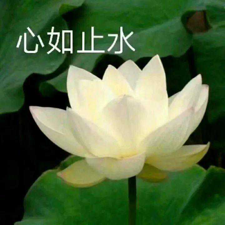 据说，照一照这种光，就能跟陈年老痘说拜拜？