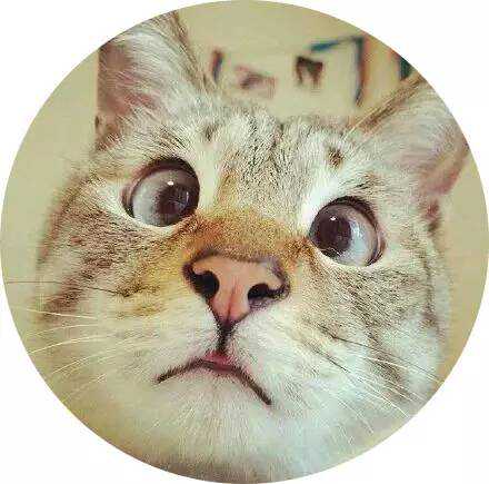 中国服饰专栏｜一条背带裤，让你赶上民国风的新时髦