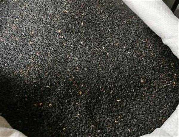 原来吃这些食物可以养发防脱