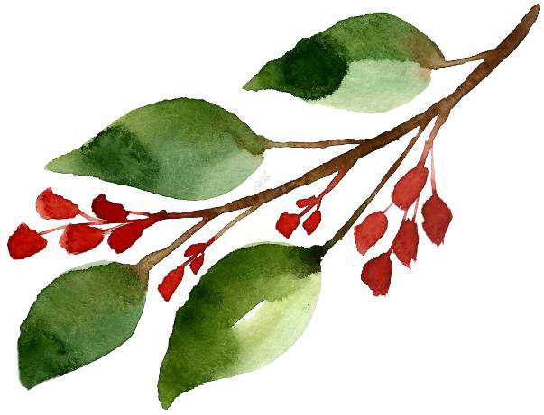 如何画好花儿美甲款？幸福像花朵，总在不经意间绽放