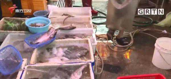 警惕！被鱼鳍刺伤，东莞老伯被截指