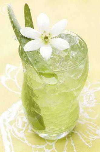 家里养花，养盆“芦荟”最划算做菜，做果汁，治蚊虫，还美容