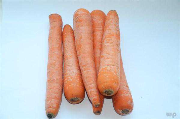 萝卜和此物一起煮，美容养颜，适合减肥，好吃易做又实惠