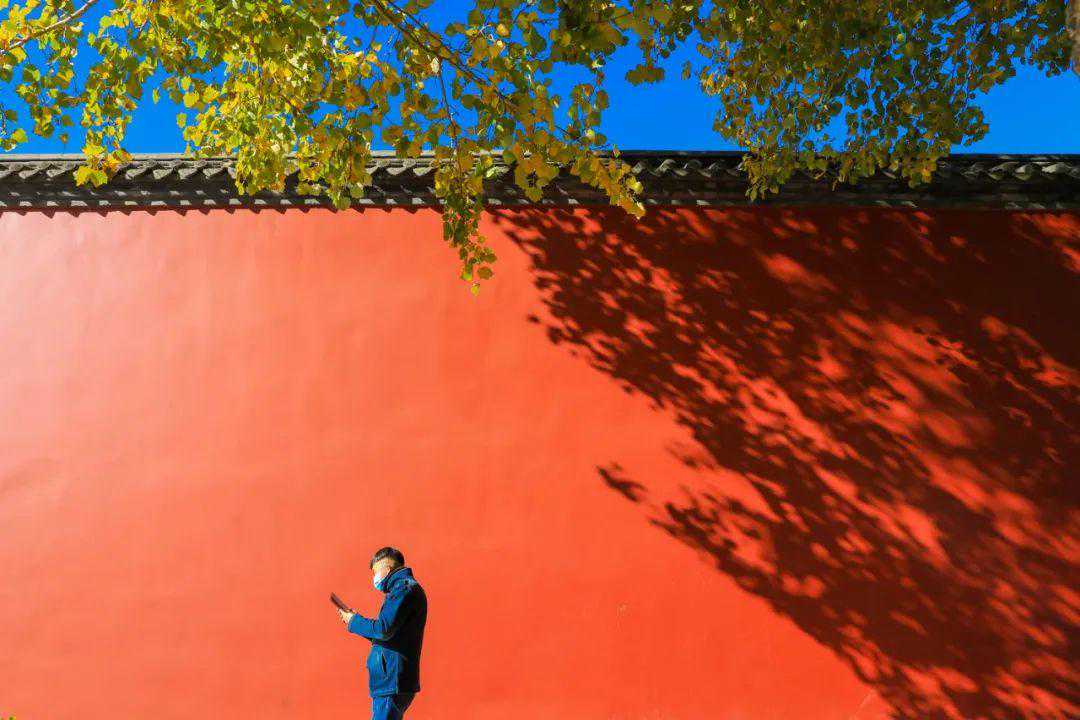 沈阳一72岁女子在美容院“养生按摩”花了8万多元！店家这样解释→