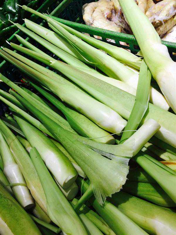 茭白的家常吃法有哪些？女人吃茭白好处多多、祛疤排毒、美容养颜