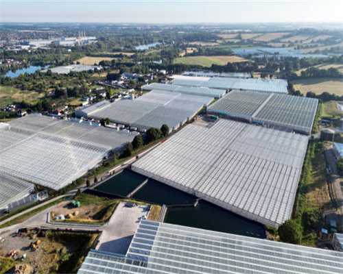 小小彩椒您知多少？美容减肥它少不了！详解彩椒功效和美味做法