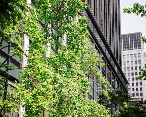 丰胸美腿险致截肢 注射医美当心“毁容”陷阱