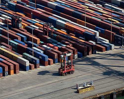 有美容功效、还可以作药物和食用！