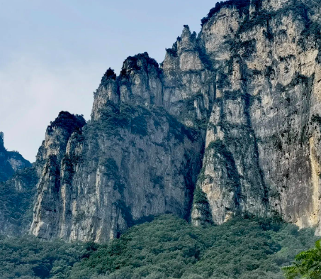 在美容院隆鼻后，她连走路都不敢走快，稍有震动鼻子就疼