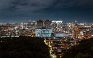 2017年鼻整形美容专栏主编