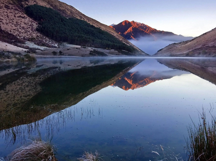 杨紫现身整形美容医院被嘲，牙齿矫形算不算整形？