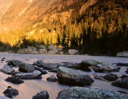 整形美容手术：乳房下垂矫正术